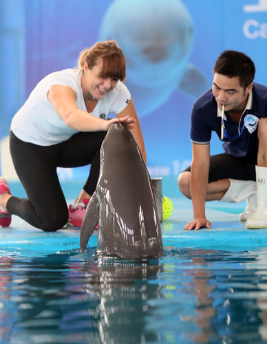 的观看体验 的观看体验