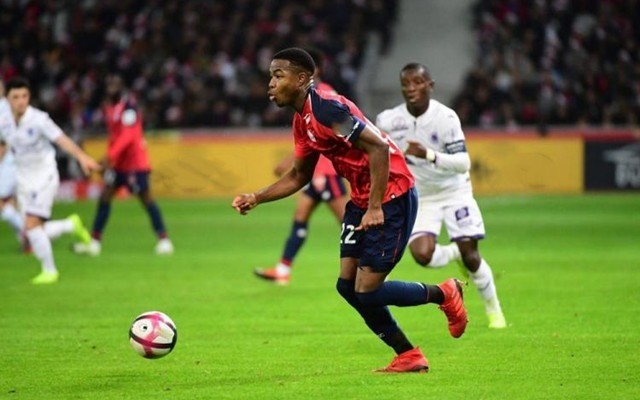 界的深远影 界的深远影